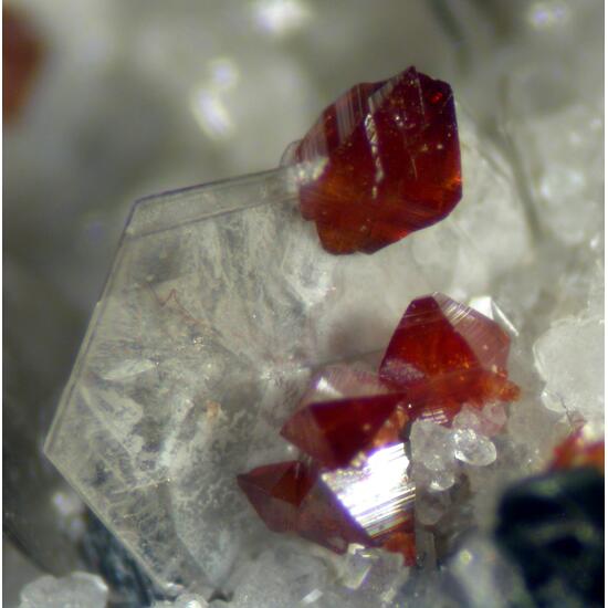 Anatase & Brookite