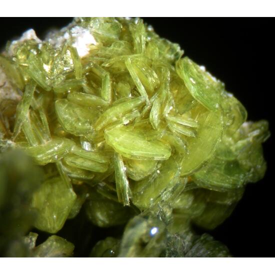 Autunite