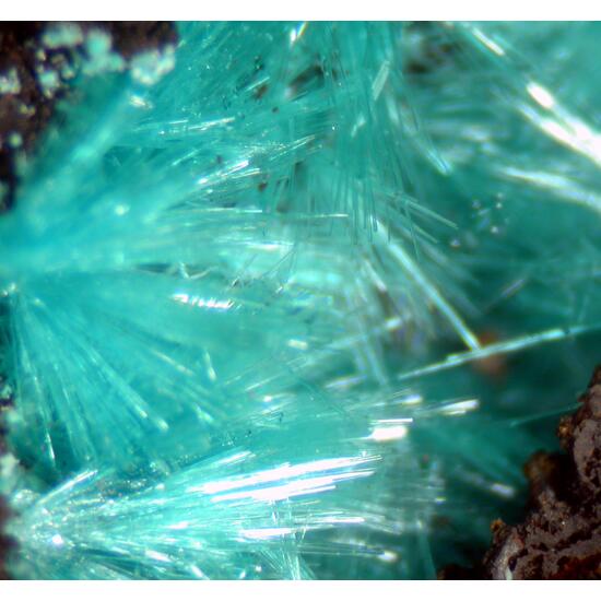 Krauskopfite & Aurichalcite