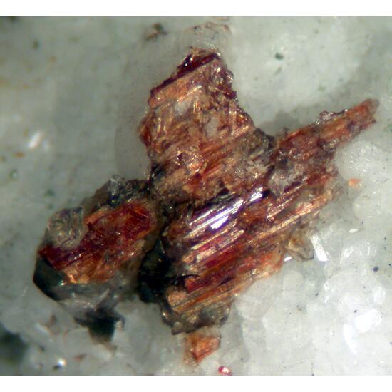 Rutile Titanite Albite & Quartz