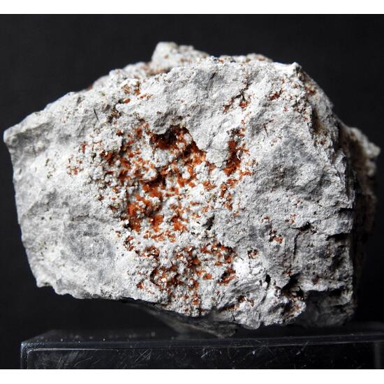 Cordierite & Muscovite