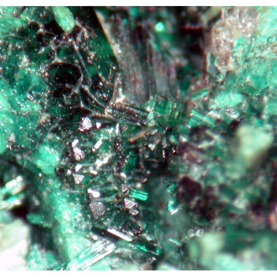 Paratacamite