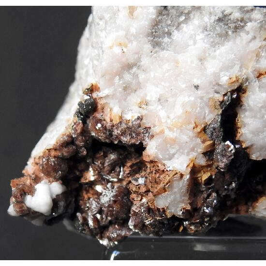 Anorthoroselite Cobaltaustinite & Aragonite