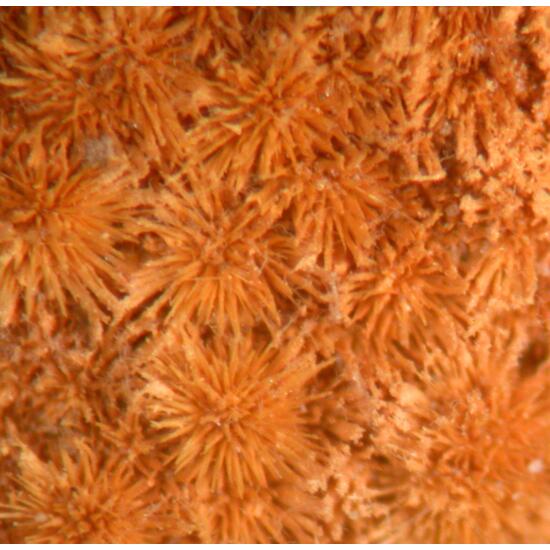 Cacoxenite