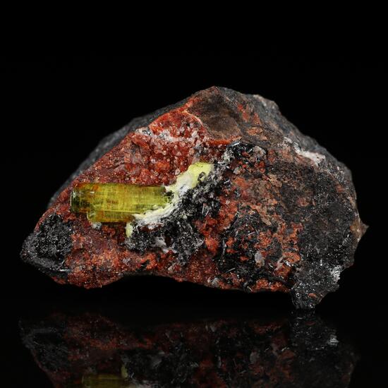 Ettringite & Gaudefroyite With Andradite