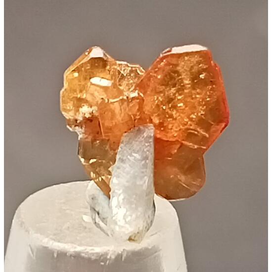 Monazite-(Ce) With Albite