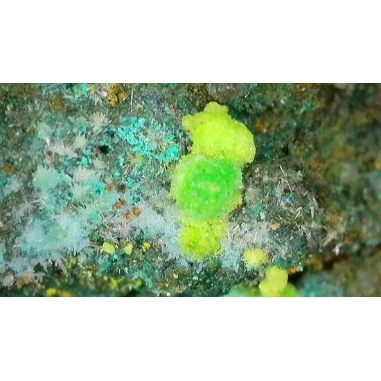 Johannite On Coffinite