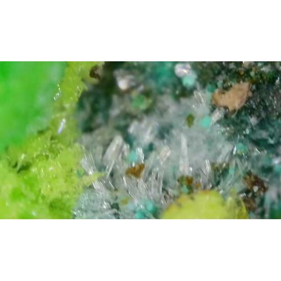 Johannite On Coffinite