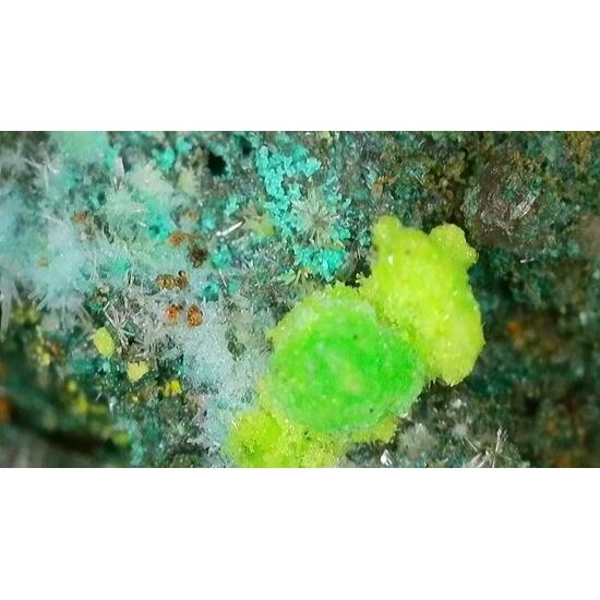 Johannite On Coffinite