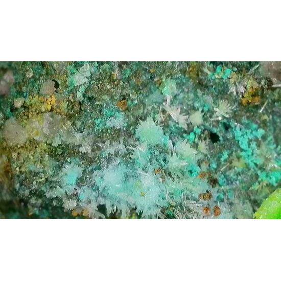 Johannite On Coffinite
