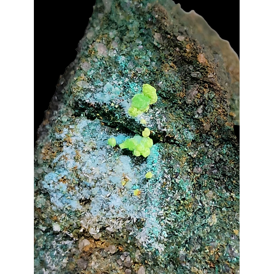 Johannite On Coffinite