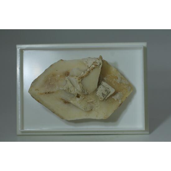 Calcite Psm Psm Glauberite