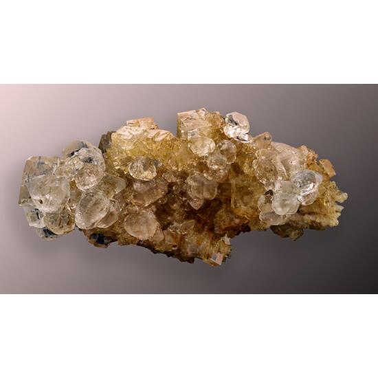 Carnallite On Halite