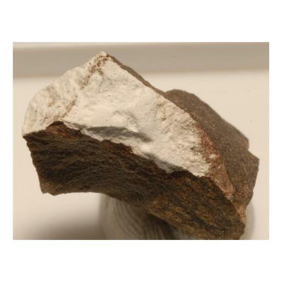 Scarbroite