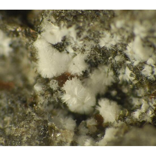 Alumohydrocalcite