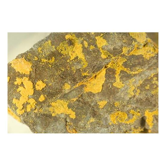 Schoderite