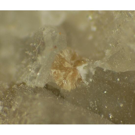 Sphaerobertrandite & Eudidymite