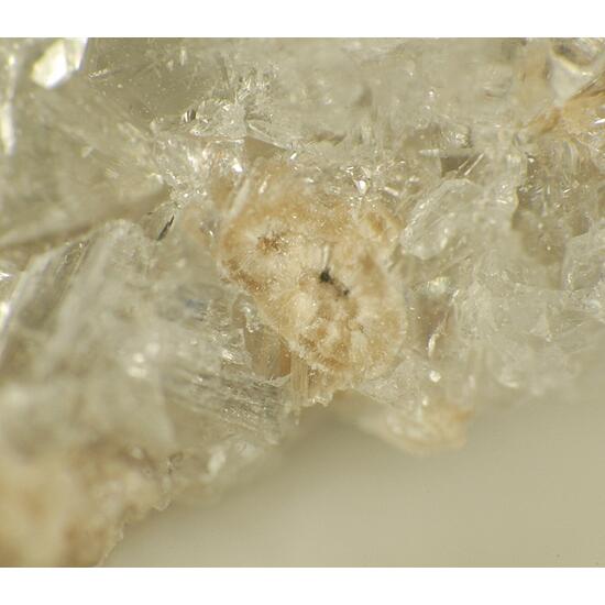 Sphaerobertrandite & Eudidymite