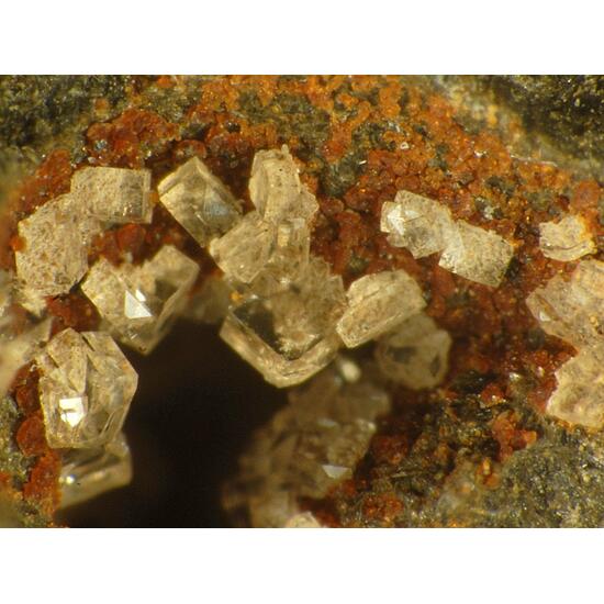 Clinoptilolite-Ca