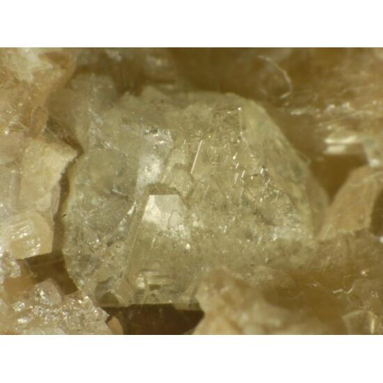 Whitlockite