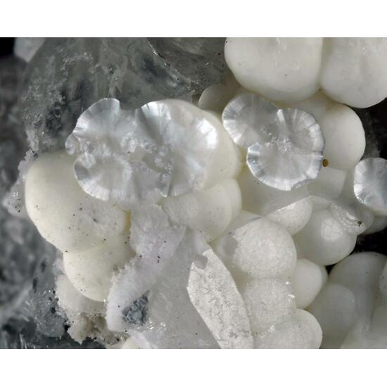 Dresserite & Weloganite