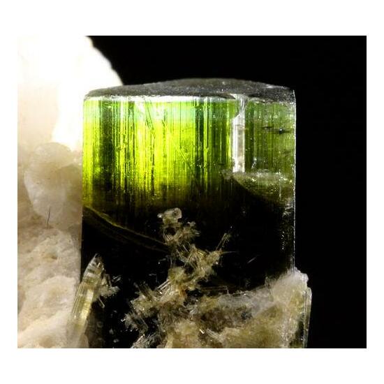 Elbaite With Albite