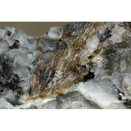 Paranatisite