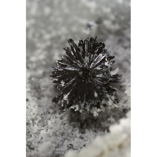 Ludwigite