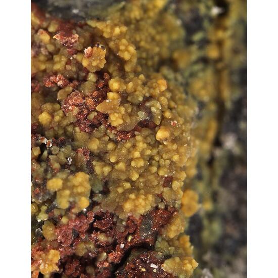 Ammoniojarosite