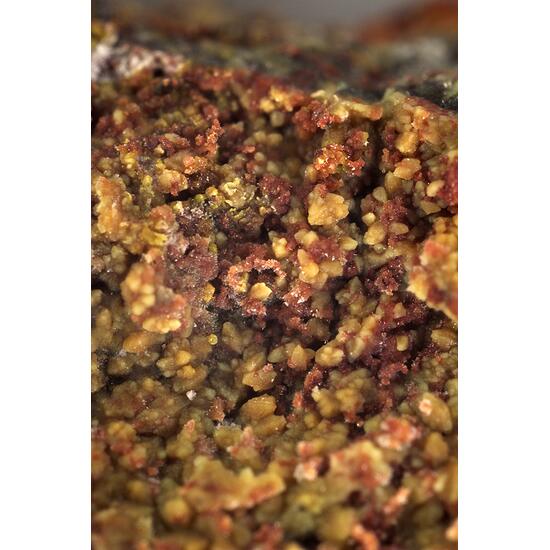 Ammoniojarosite