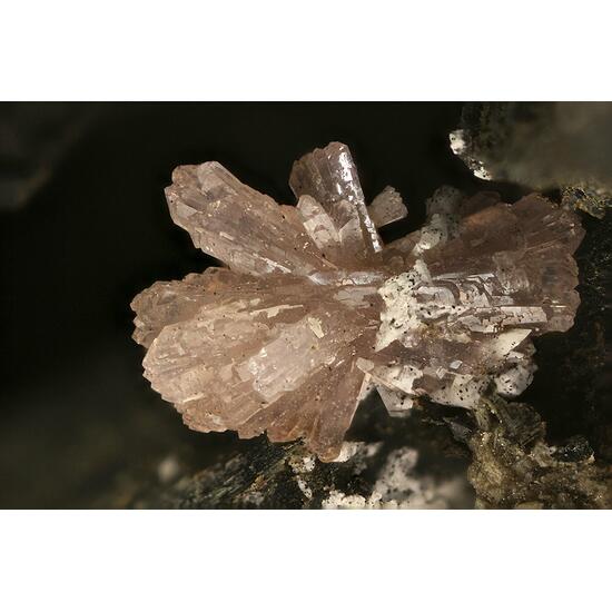 Ancylite-(Ce)