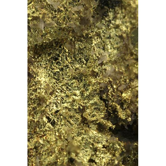 Gold & Arsenopyrite