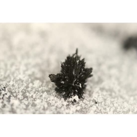 Ludwigite