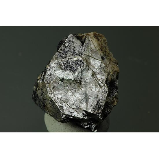 Naujakasite