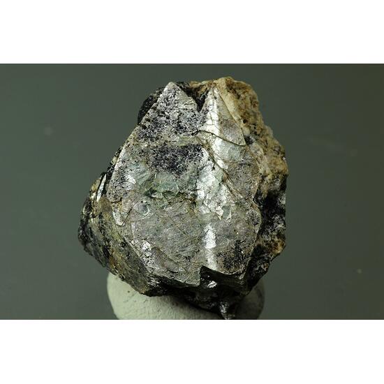 Naujakasite