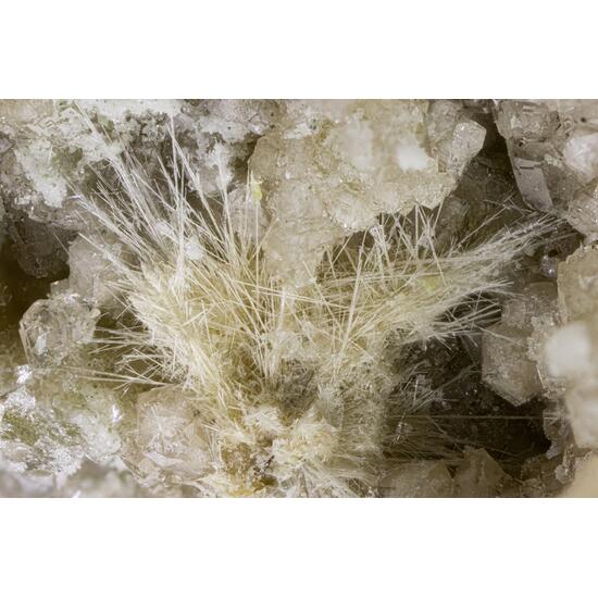 Paratobermorite
