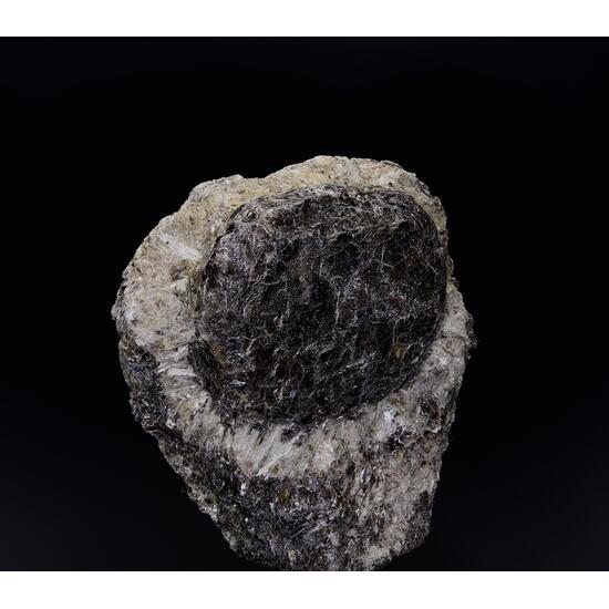 Anthophyllite & Phlogopite