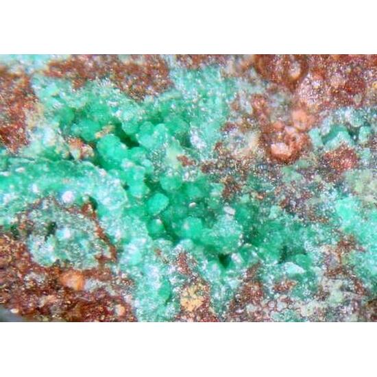 Tlapallite