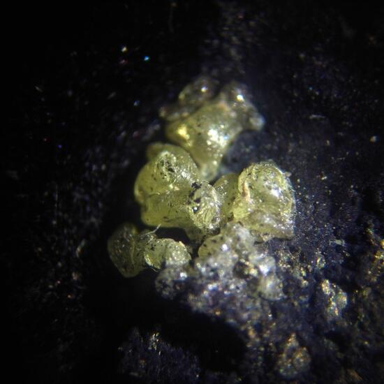 Covellite & Sulphur