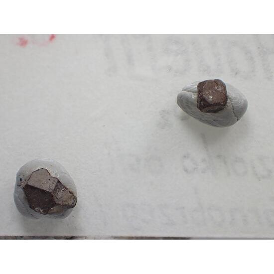 Hauerite