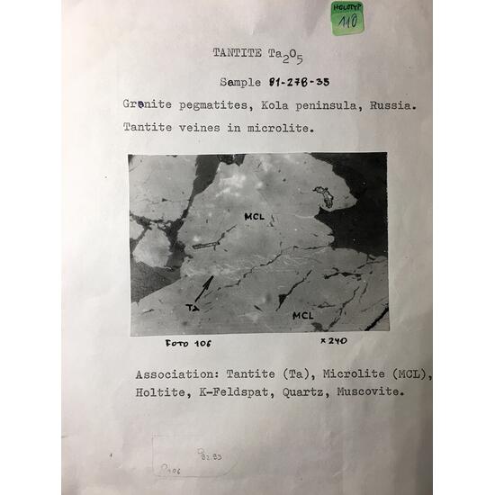 Tantite