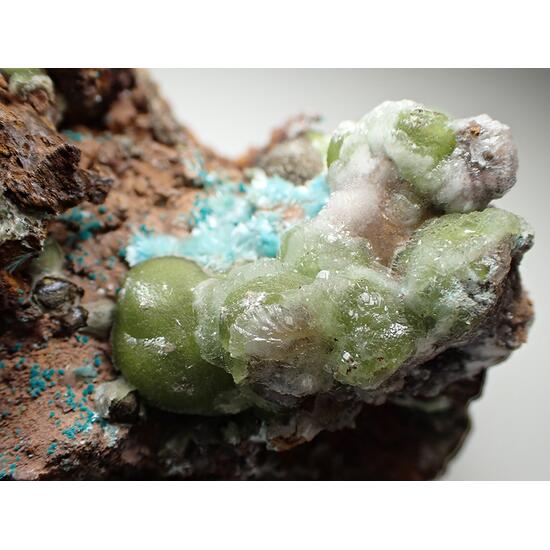 Smithsonite & Aurichalcite