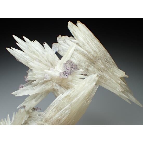 Calcite Var Strontianite & Fluorite