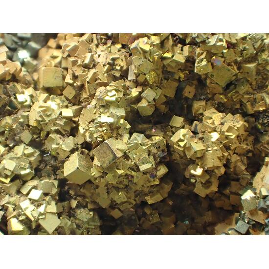 Pyrite & Ankerite