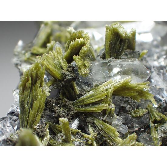 Epidote & Quartz