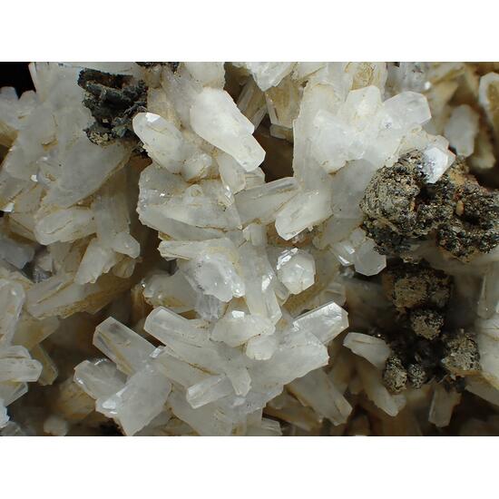 Calcite & Pyrite