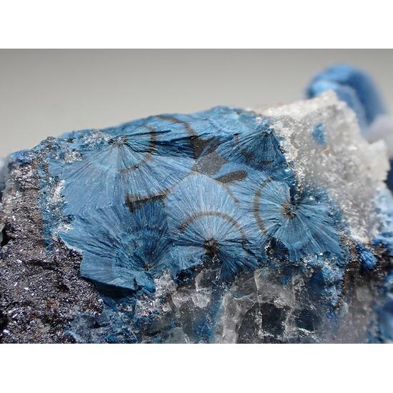 Shattuckite & Quartz