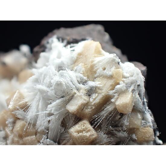 Poldervaartite & Bultfonteinite