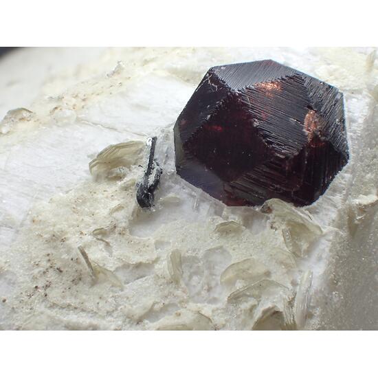 Garnet Var Almandine & Muscovite & Feldspar