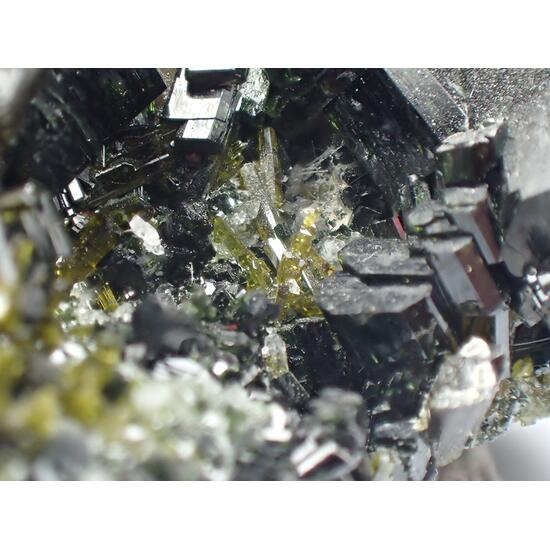 Augite & Epidote